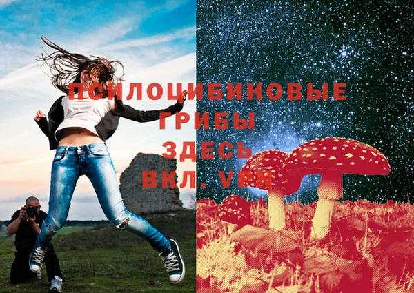 скорость Абаза