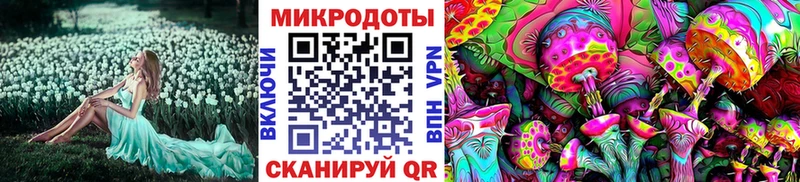 закладка  mega ONION  Галлюциногенные грибы Magic Shrooms  Лесозаводск 